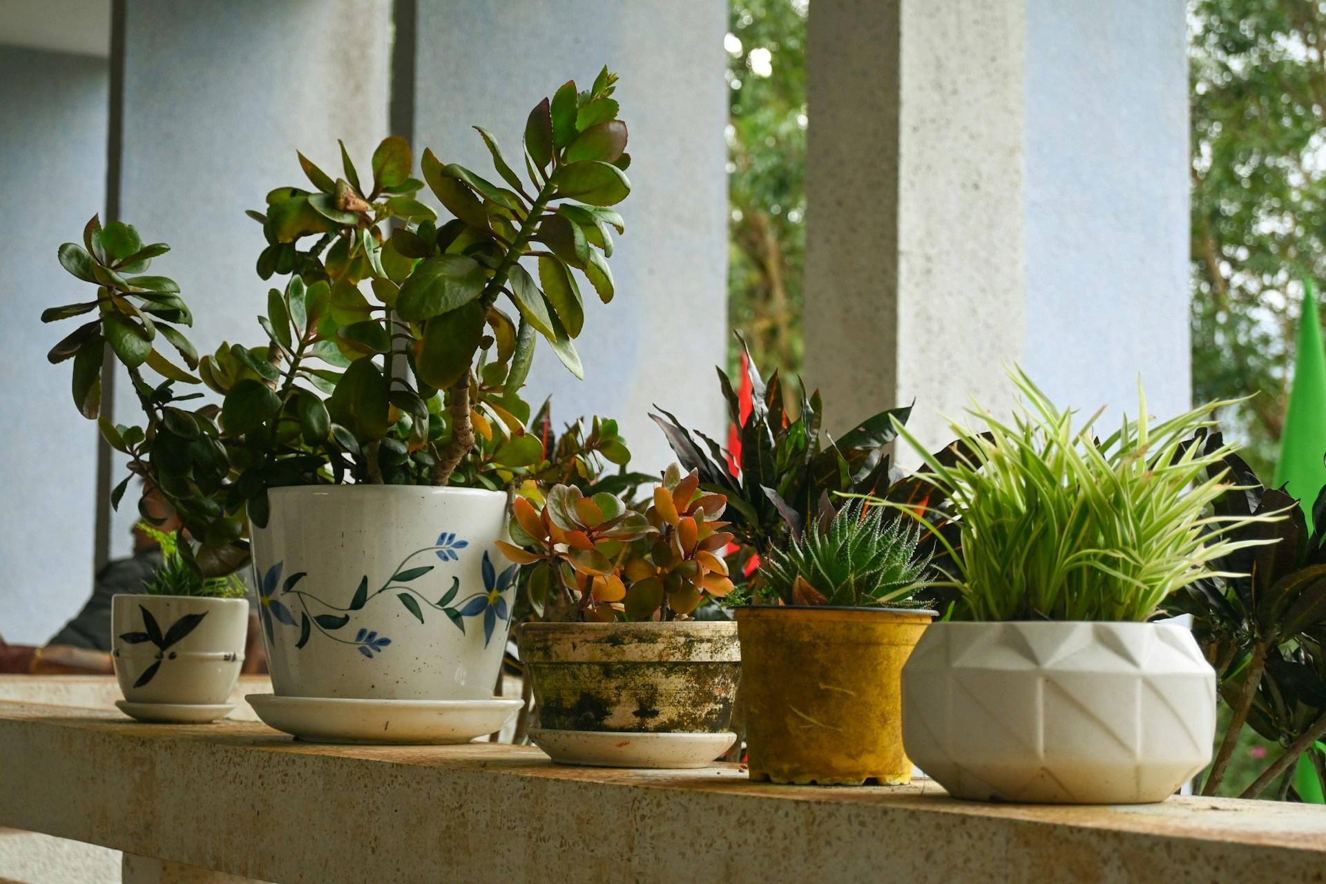 Small Space Gardening: Creative Ways to Grow More in Limited Areas